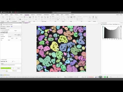 Objects within Objects | Media Cybernetics, Inc.