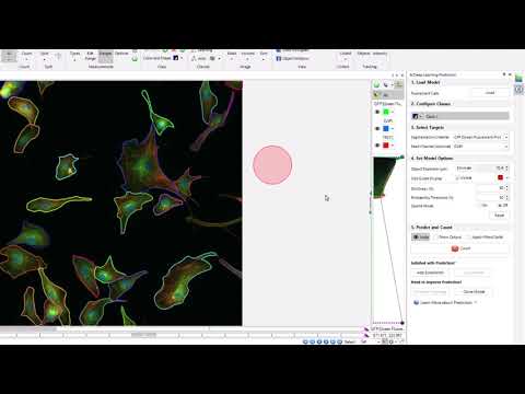 Finding Objects with Cellpose Models | Media Cybernetics, Inc.